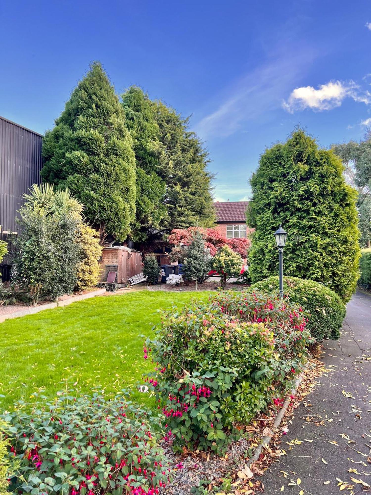 Ashfield Bed & Breakfast ベルファスト エクステリア 写真
