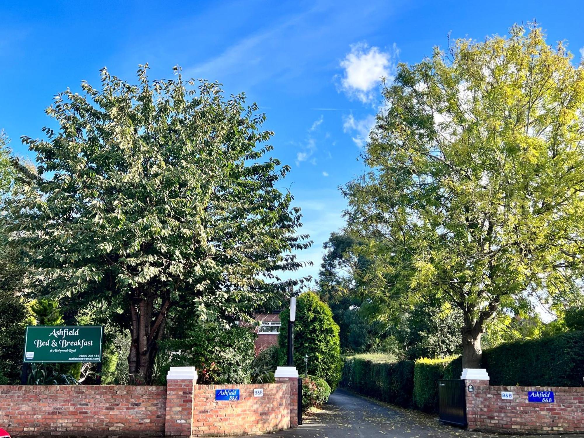Ashfield Bed & Breakfast ベルファスト エクステリア 写真